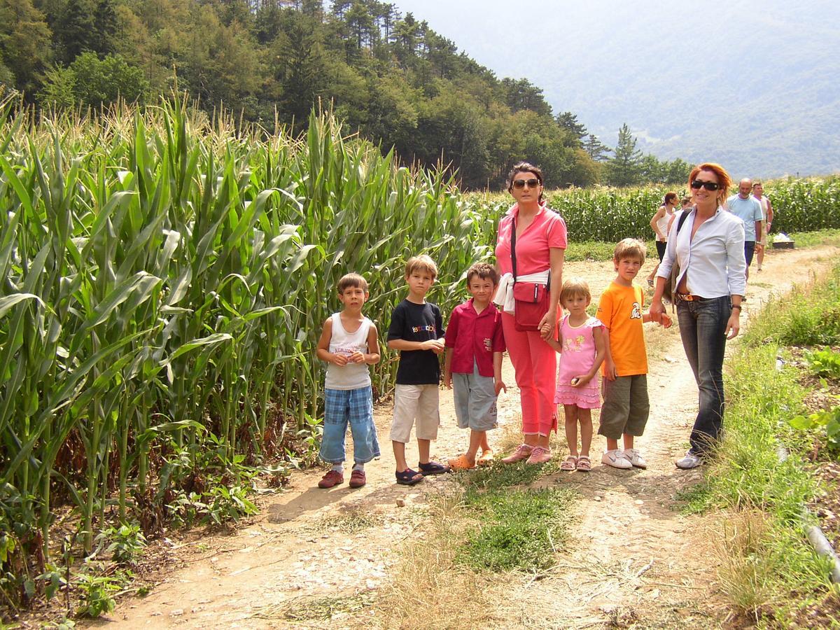 Ca' Dei Boieti Casa Vacanze Ronzo-Chienis Buitenkant foto